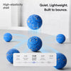 Interactive Electric Dog Ball Toy