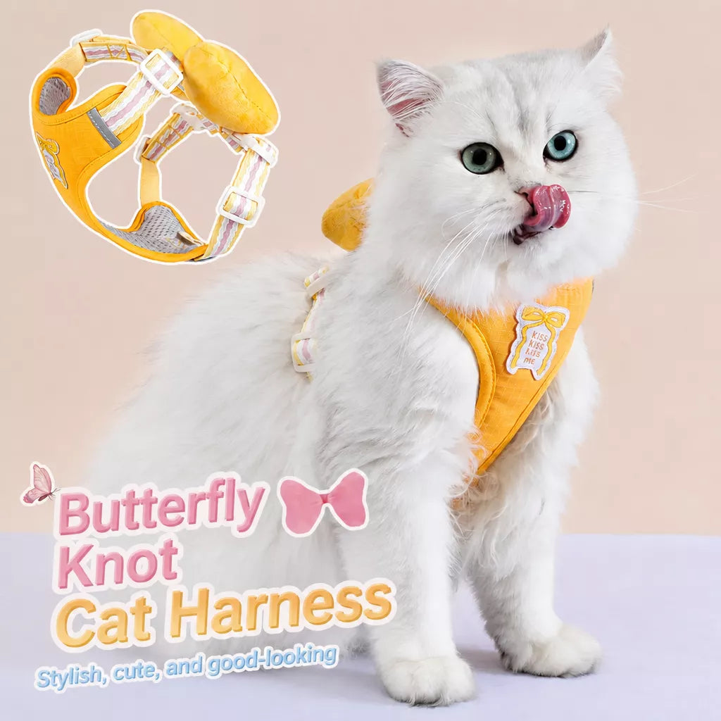 Bow Vest Harness and Leash for Small Dogs