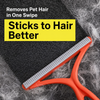 Double-Sided Pet Hair Remover