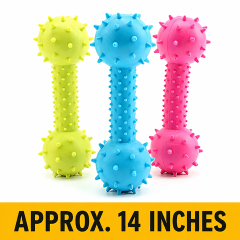 Latex Squeaky Dog Toy – Playful Shapes