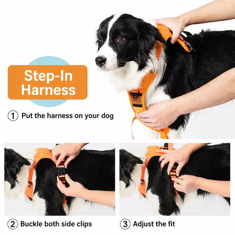 Nylon Dog Harness with Retractable Leash