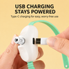 Rechargeable Laser Cat Toy