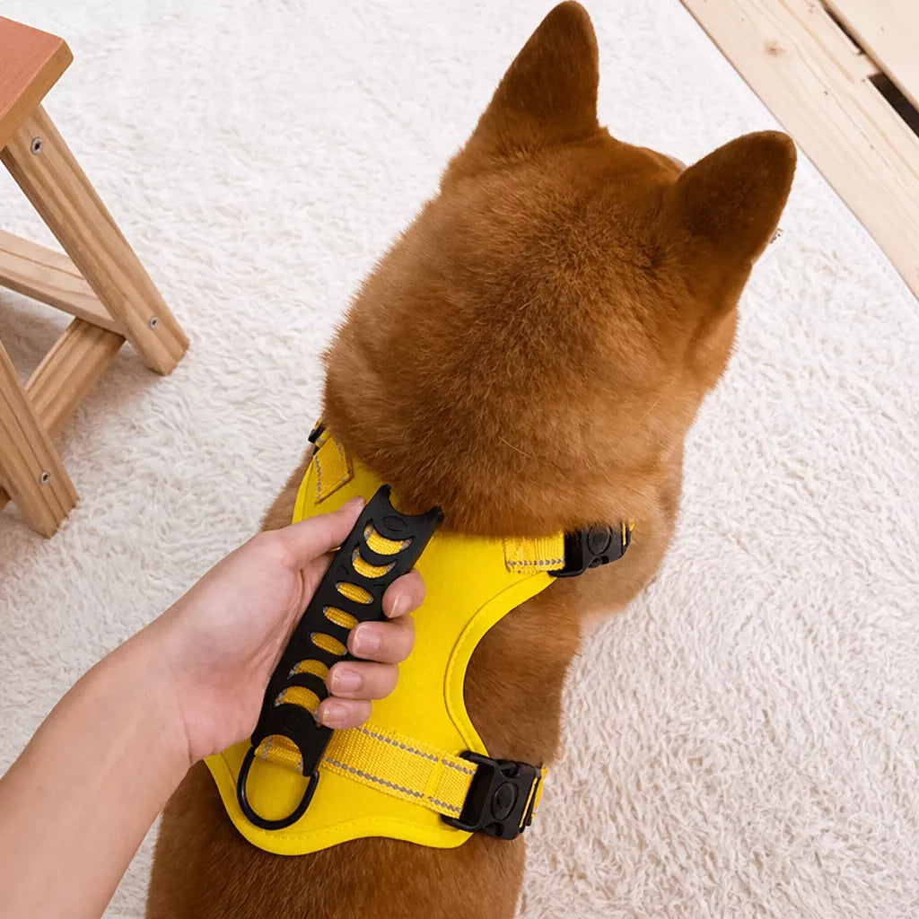 Nylon Dog Harness with Optional Leash
