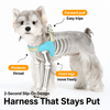 Y-Shaped Nylon Dog Harness and Leash