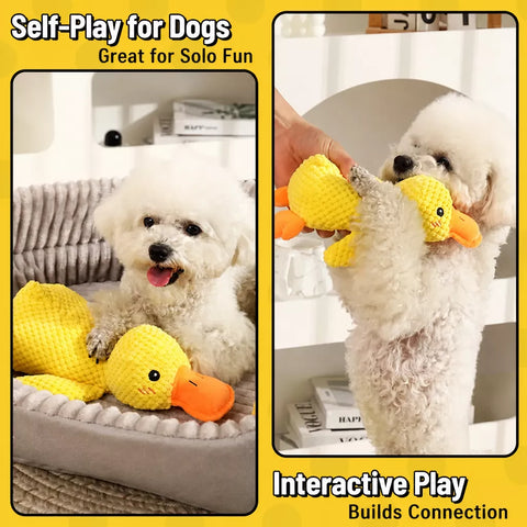 Plush Squeaky Dog Toys in Duck, Rope & Multi-Piece Styles