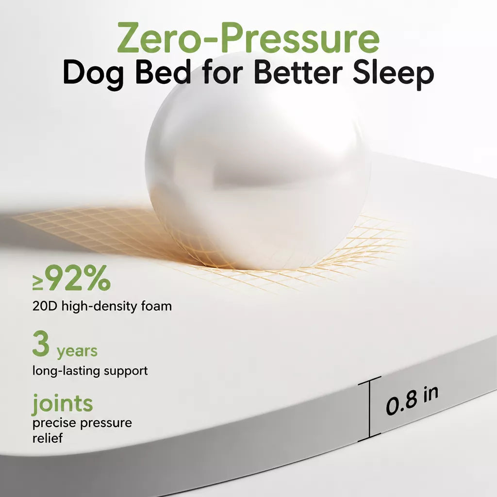 Low-Profile Pet Bed Mat for Cats and Dogs