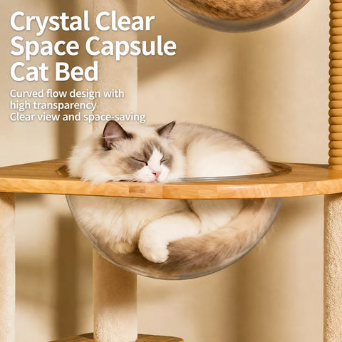 Multi-Level Cat Tree with Enclosed Cat House for Small Spaces