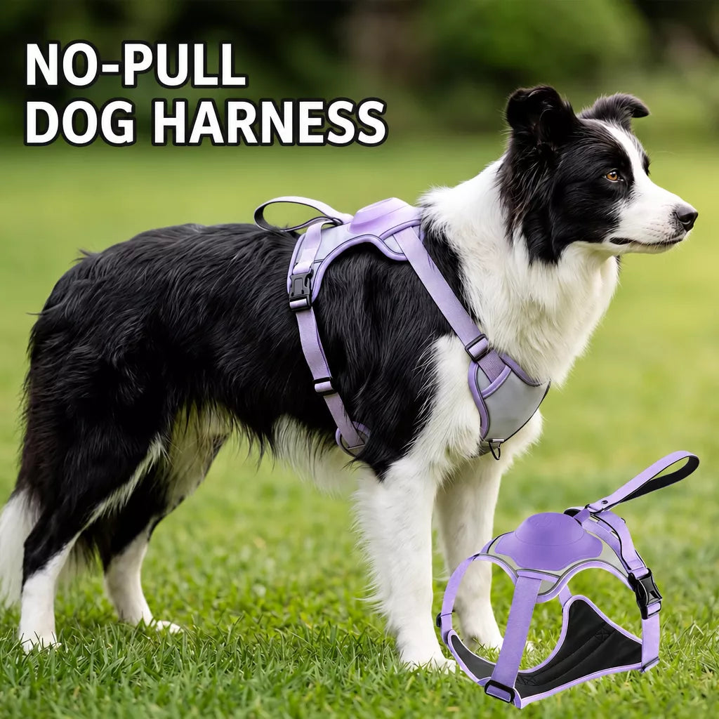 All-in-One Dog Harness with Leash