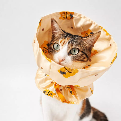Adjustable Nylon Pet Cone with Lucky Cat Print