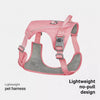 Lightweight Nylon Dog Harness and Leash Set for Everyday Walks