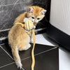 H-Style Kitten Harness and Leash Set for Small Pets