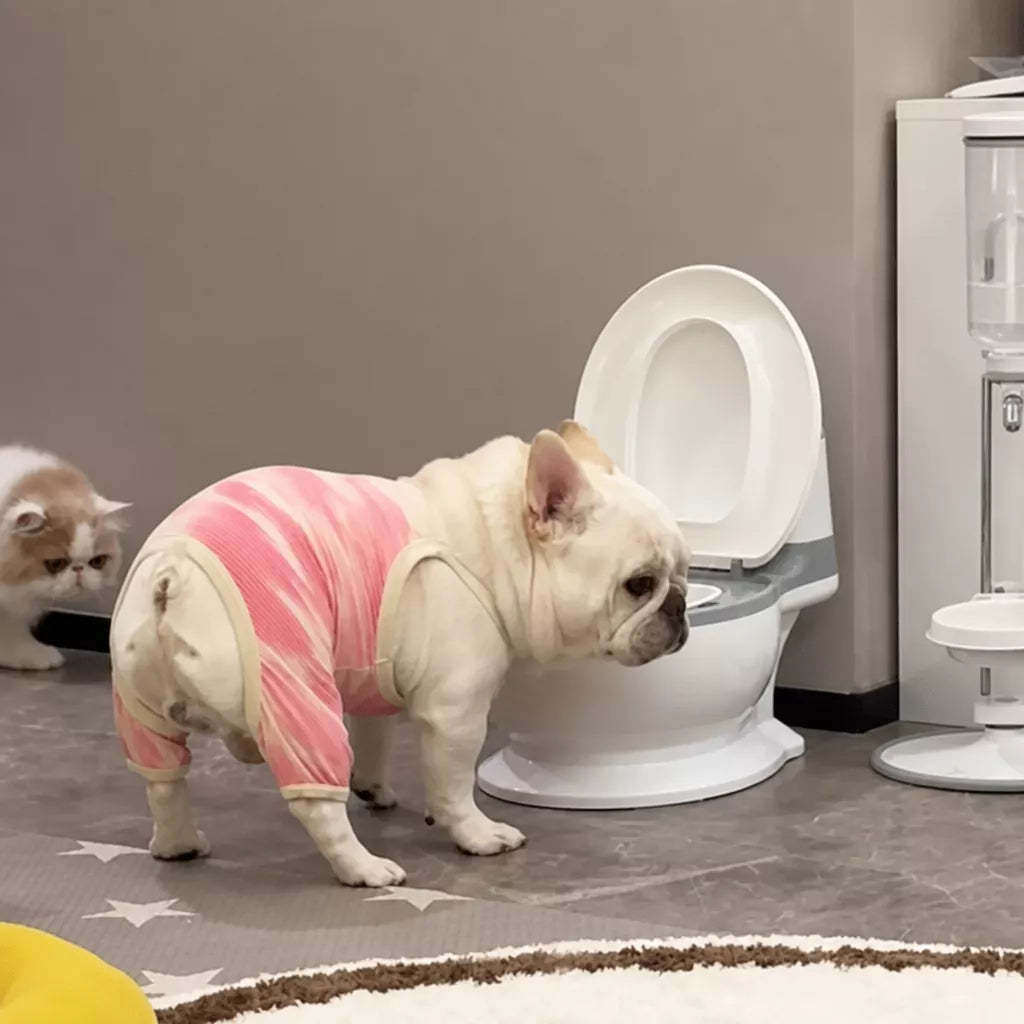 Toilet-Shaped Cat Water Bowl with Wide Opening