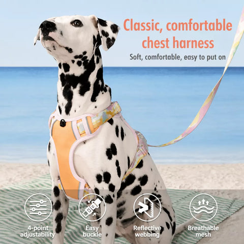 Polyester H-Style Dog Harness for Everyday Walks