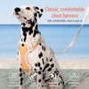 H-Style Polyester Dog Harness