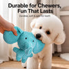 Plush Squeaky Dog Toy