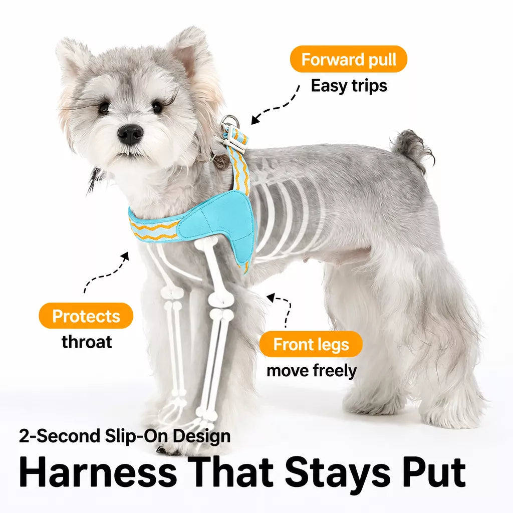 Y-Shaped Nylon Dog Harness and Leash for Small to Medium Dogs