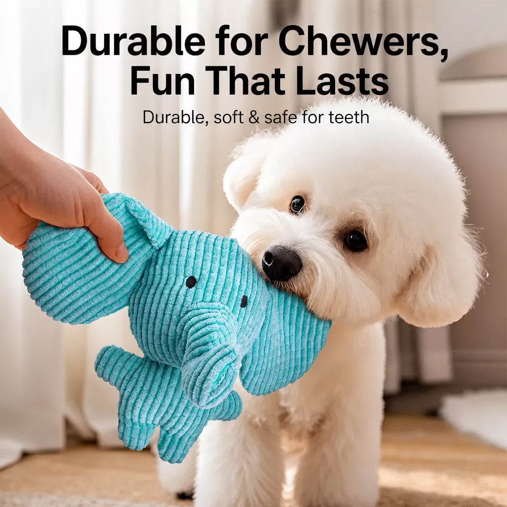 Plush Squeaky Dog Toy