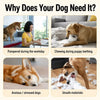 Squeaky Vinyl Dog Toy Balls for Small and Medium Dogs