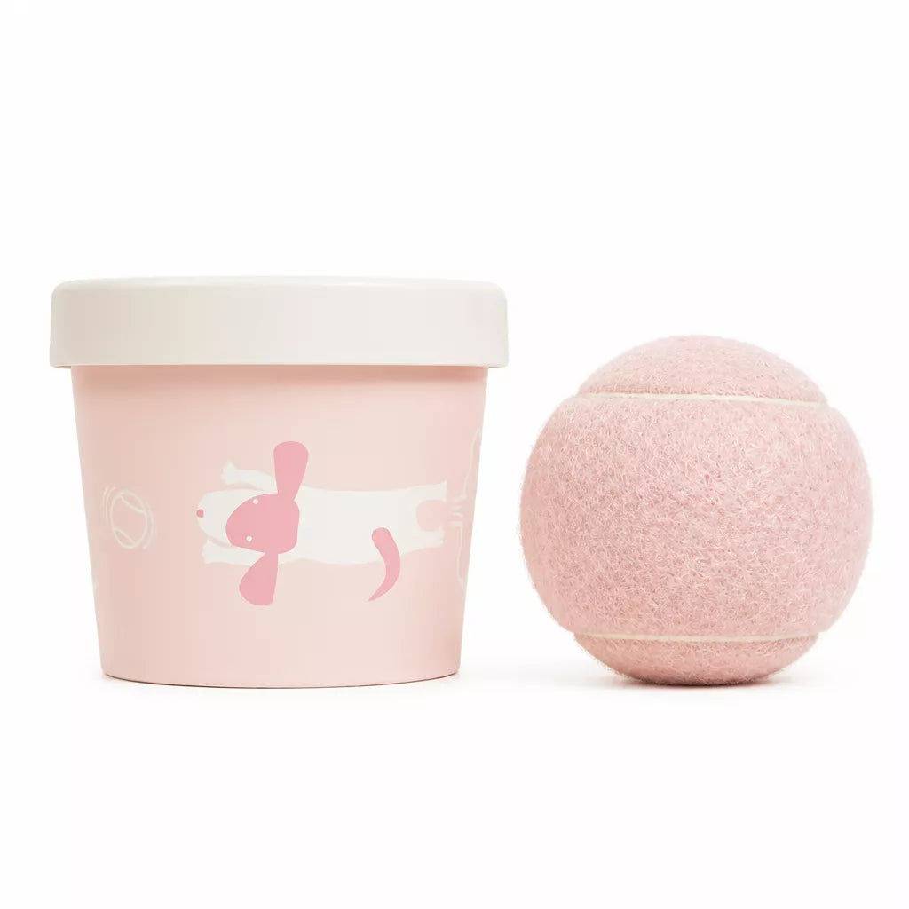 Ice Cream-Themed Interactive Dog Ball Toy