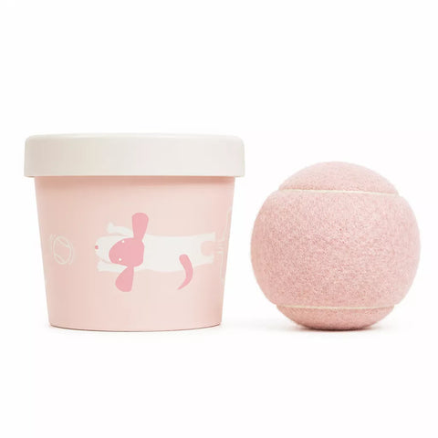 Ice Cream-Themed Interactive Dog Ball Toy