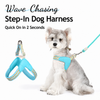 Y-Shaped Nylon Dog Harness and Leash