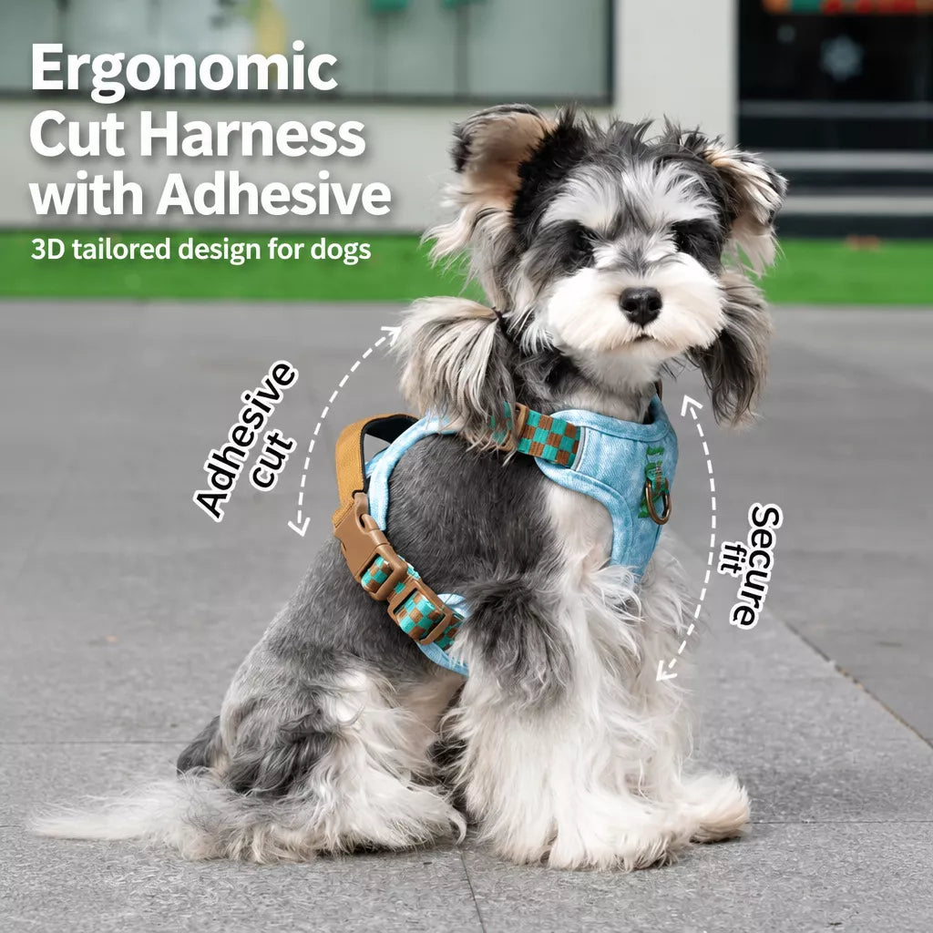 Pet Vest Harness for Small to Medium Dogs