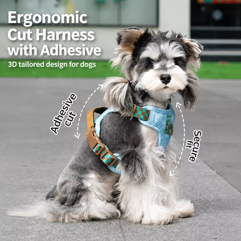 Pet Vest Harness for Small to Medium Dogs