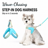 Y-Shaped Nylon Dog Harness and Leash