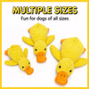 Plush Squeaky Dog Toys – Duck, Rope & Multi-Piece Designs
