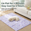 PVC Pet Resting Mat for Dogs & Cats