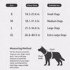 Lightweight Nylon Dog Harness and Leash Set for Everyday Walks