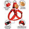 Adjustable Dog Harness and Handheld Leash