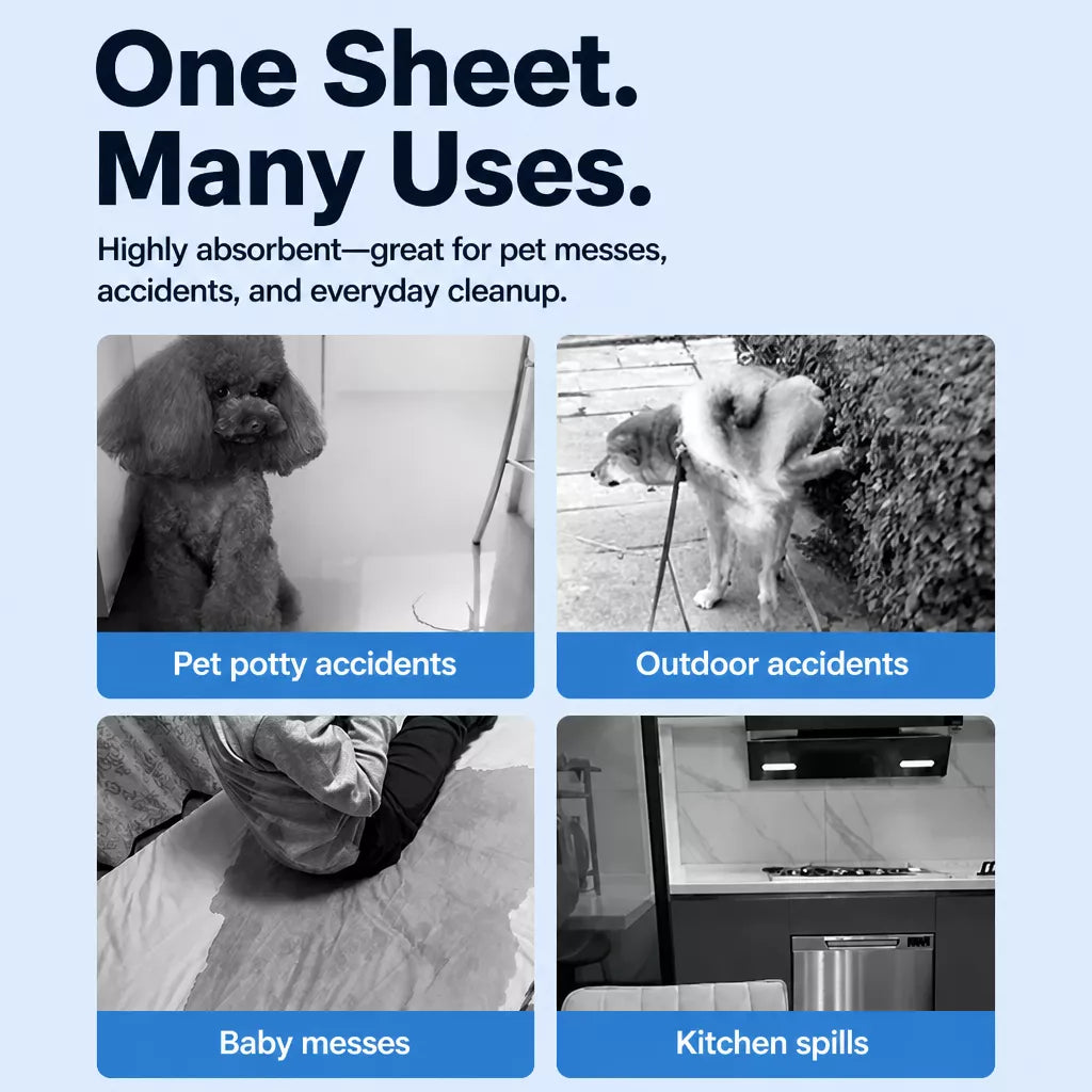 Absorbent Pet Urine Cleanup Sheets for Dogs & Cats