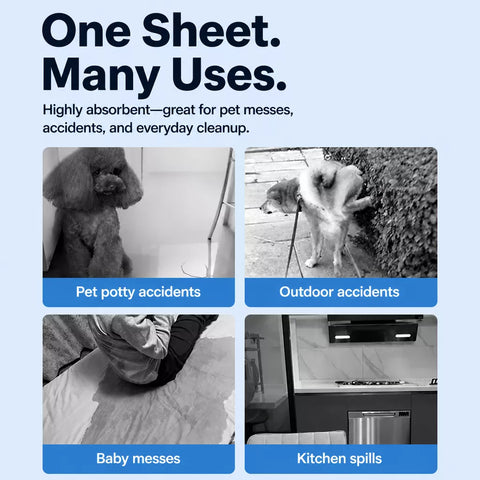 Absorbent Pet Urine Cleanup Sheets for Dogs & Cats