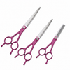 Stainless Steel Pet Grooming Shears - p-00343
