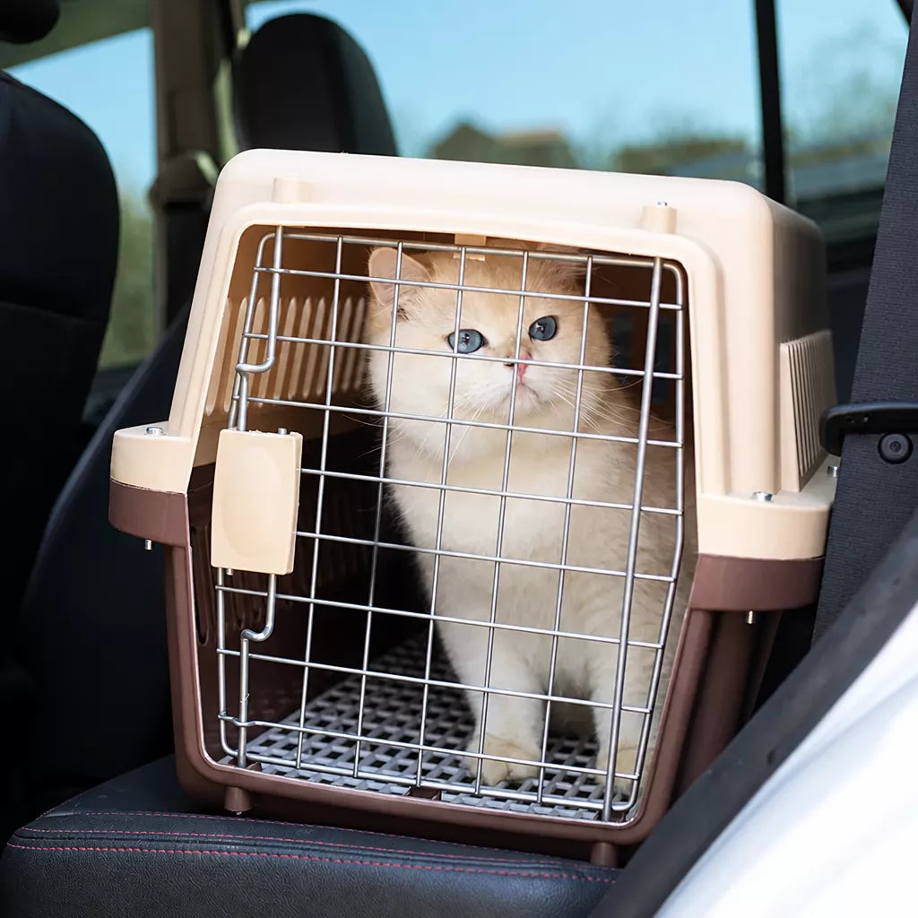 Pet Travel Carrier for Cats and Small to Medium Dogs