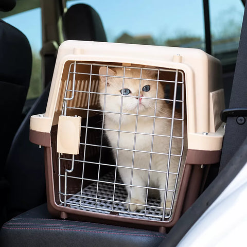 Pet Travel Carrier for Cats and Small to Medium Dogs