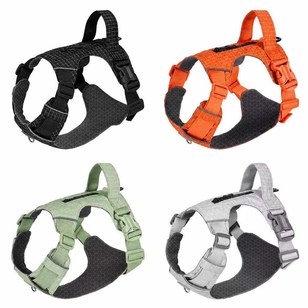 Adjustable Nylon Vest-Style Dog Harness with Matching Leash