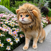 Animal Costume Hats for Dogs & Cats
