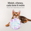 Colorful Cat Crinkle Ball Toy