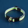Adjustable Canvas Pet Collar