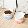 Elevated Ceramic Cat Bowl