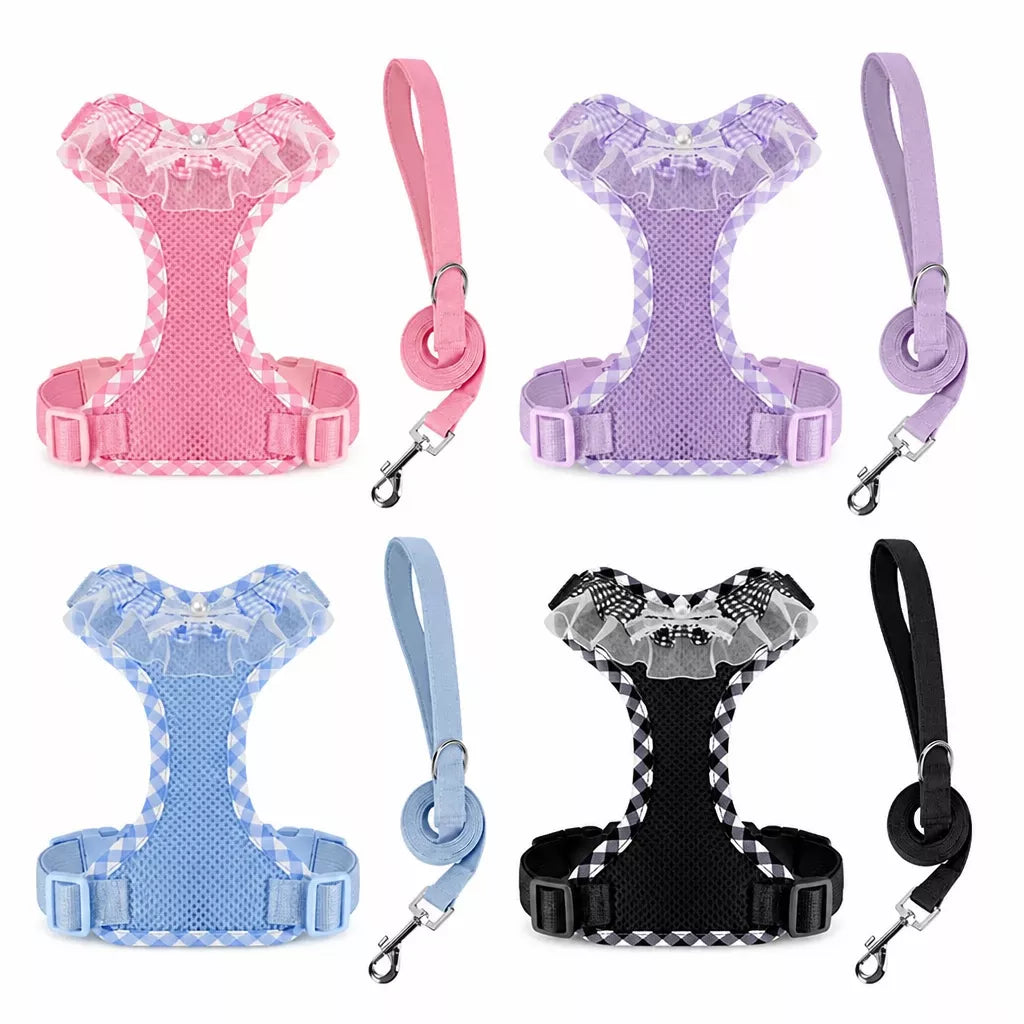 Nylon H-Style Dog Harness and 6.6-Foot Leash Set