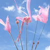 Feather Cat Teaser Toy Set with Bells