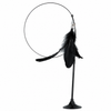 Suction Cup Cat Teaser Toy with Long Wand