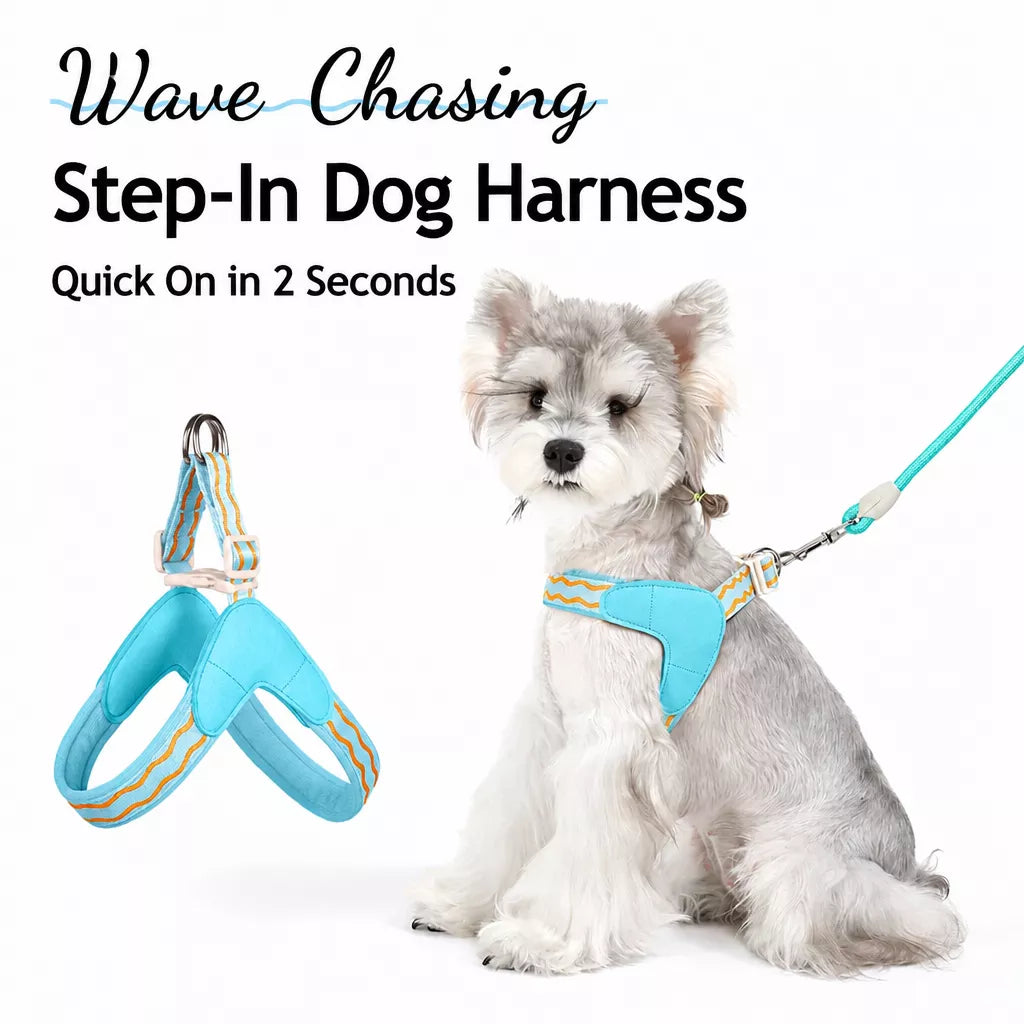 Y-Shaped Nylon Dog Harness and Leash for Small to Medium Dogs
