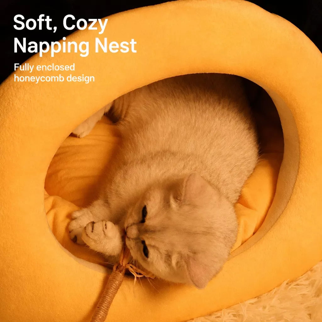 Enclosed Pet Bed Tent for Cats and Small Dogs