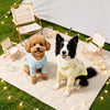 Lightweight Four-Leg Dog Shirt for Warm-Weather Wear