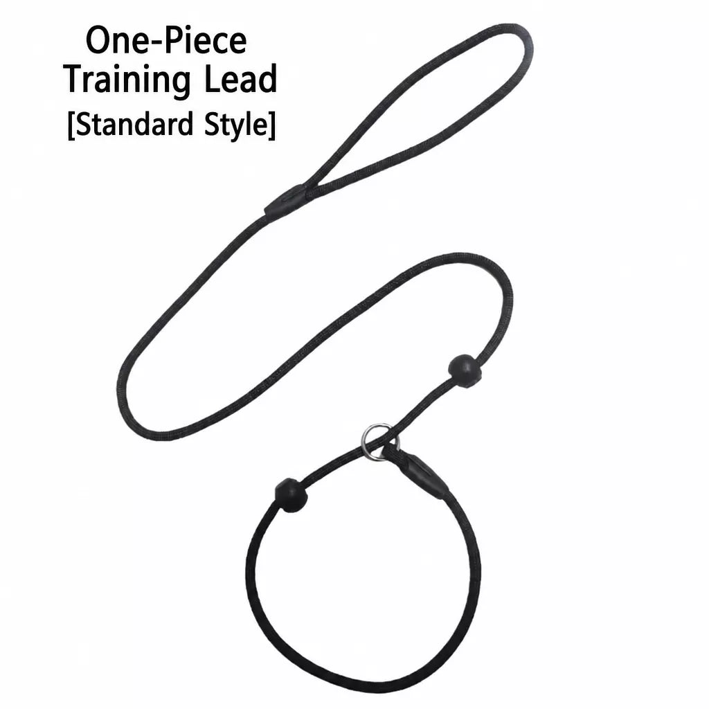 One-Piece Nylon Rope Training Leash for Small and Medium Dogs