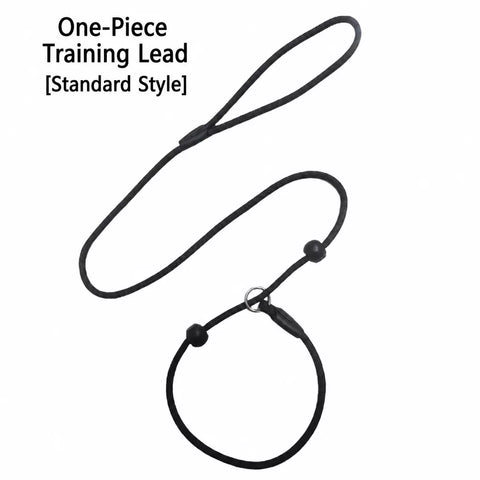 One-Piece Nylon Rope Training Leash for Small and Medium Dogs
